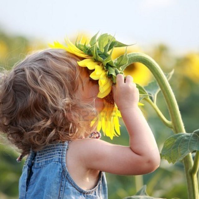 toddler with sunflower