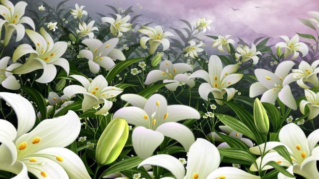 Easter-Lily-Wallpaper-for-PC